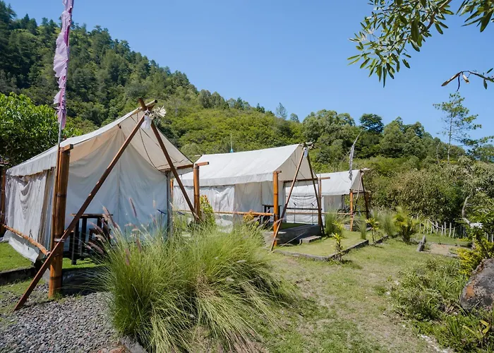 Samuh Camp * 金塔马尼